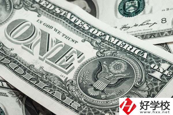 湖南的技校學(xué)費貴嗎？有哪些補貼政策？