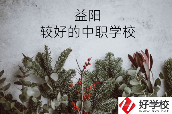 益陽(yáng)有哪些中職學(xué)校比較好？