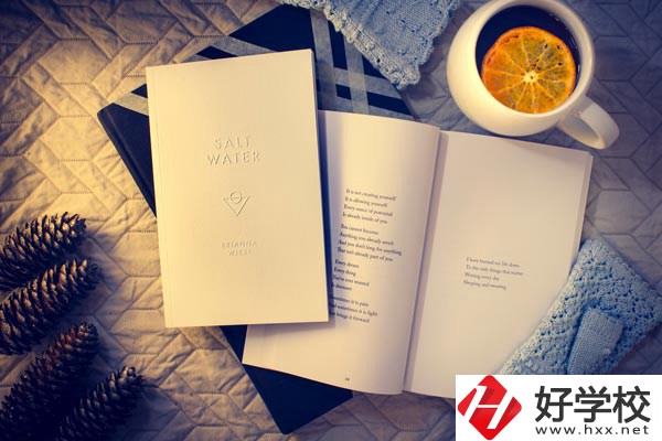 婁底技師學(xué)院有哪些專業(yè)？好就業(yè)嗎？