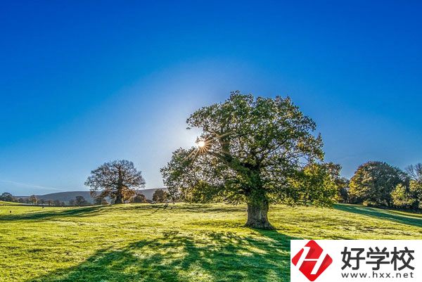 湘西旅游學(xué)校是一所怎樣的中專？