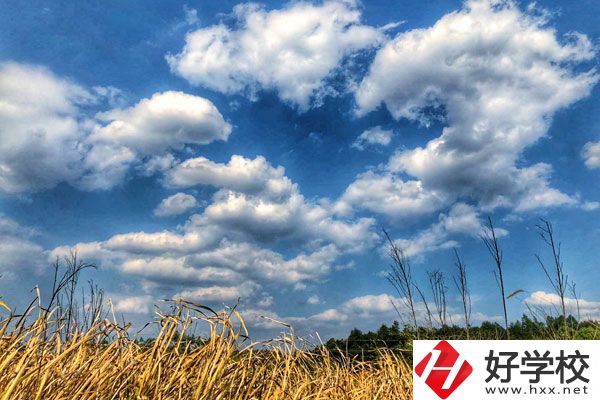 衡陽市瀟湘衛(wèi)生中等專業(yè)學(xué)校有哪些特色專業(yè)？