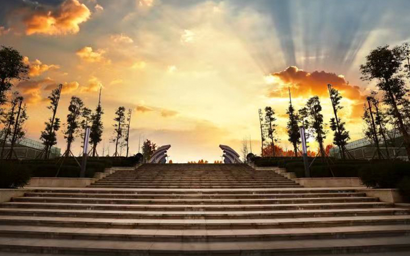 2024年郯城縣中等職業(yè)技術(shù)教育中心學校有哪些專業(yè)