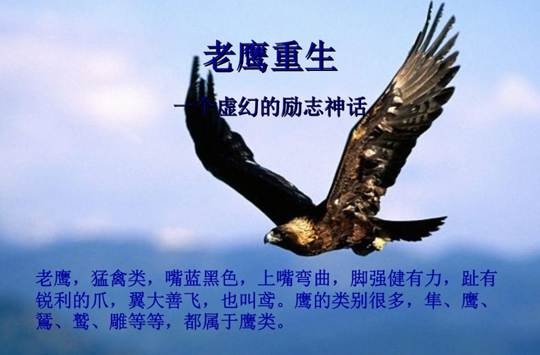 懷化城南職業(yè)學(xué)校2024年學(xué)費(fèi)多少錢一年