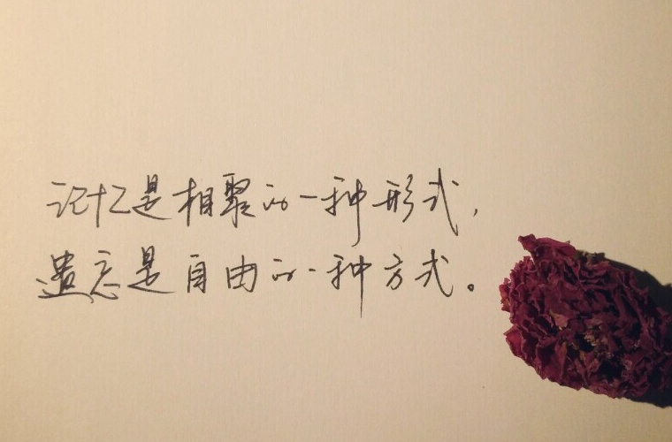 懷安職教中心2024年學(xué)費(fèi)多少？貴嗎？