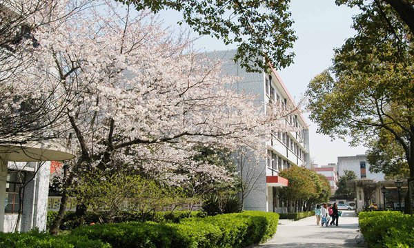 2020年貴州自考建筑工程技術(shù)(?？?專業(yè)計(jì)劃