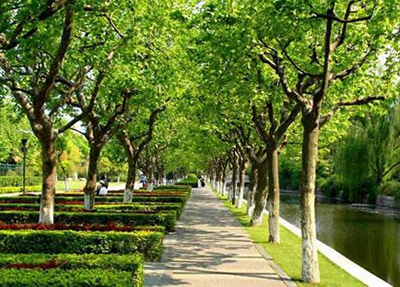 大名職教中心2024年學(xué)費(fèi)多少？貴嗎？