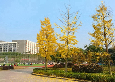 楚雄農(nóng)業(yè)學(xué)校2024年報名學(xué)費(fèi)多少錢