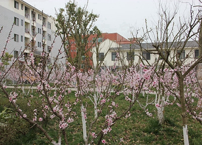 衡陽(yáng)湘南博遠(yuǎn)職業(yè)學(xué)校2024年學(xué)費(fèi)多少