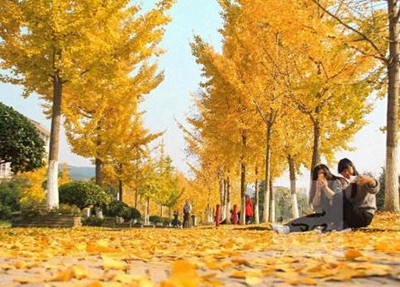 江蘇城市職業(yè)學(xué)院單招怎么樣(2024)