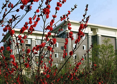 樅陽(yáng)縣職業(yè)技術(shù)學(xué)校2024年學(xué)費(fèi)多少？貴嗎？
