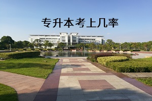 專(zhuān)升本考上幾率