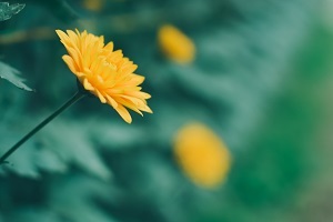 精做真題，查缺補(bǔ)漏