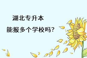 湖北專升本能報多個學(xué)習(xí)嗎？