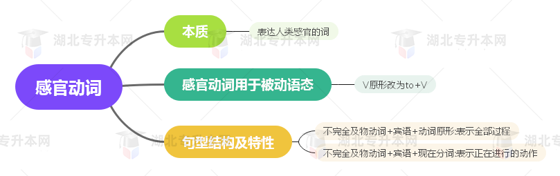 普通專升本英語要掌握多少種語法？25張思維導(dǎo)圖教會(huì)你！
